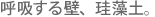 ċzǁA]yB