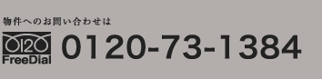 0120-73-1384